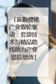 旅顺樱桃产业双轮驱动：套袋技术与精品路线助力产业提质增效