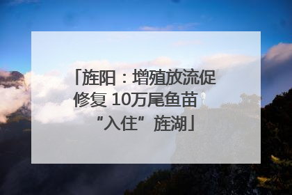 旌阳：增殖放流促修复 10万尾鱼苗“入住”旌湖