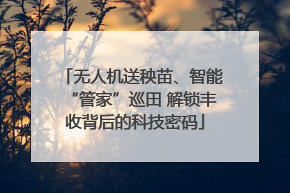 无人机送秧苗、智能“管家”巡田 解锁丰收背后的科技密码