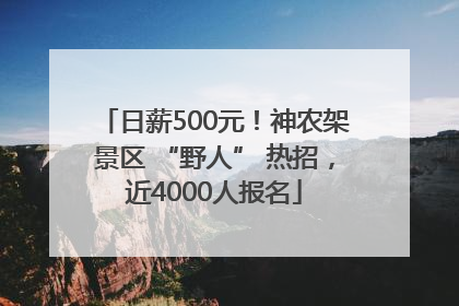 日薪500元！神农架景区 “野人” 热招，近4000人报名