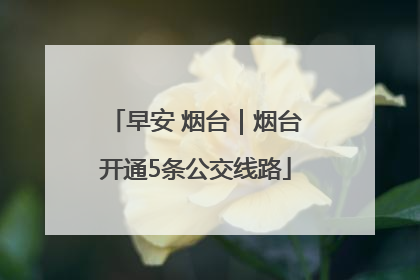 早安 烟台｜烟台开通5条公交线路