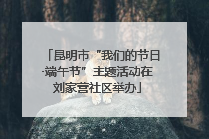 昆明市“我们的节日·端午节”主题活动在刘家营社区举办