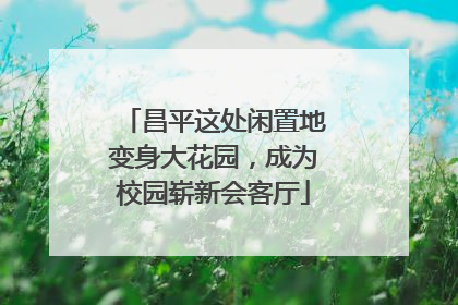 昌平这处闲置地变身大花园，成为校园崭新会客厅