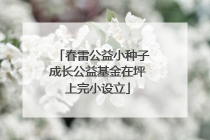 春雷公益小种子成长公益基金在坪上完小设立