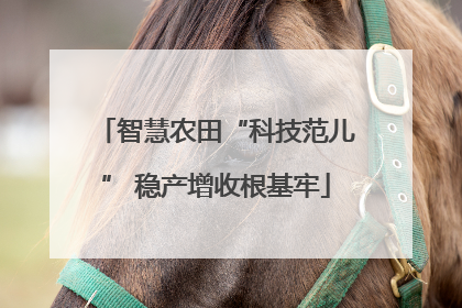 智慧农田“科技范儿” 稳产增收根基牢