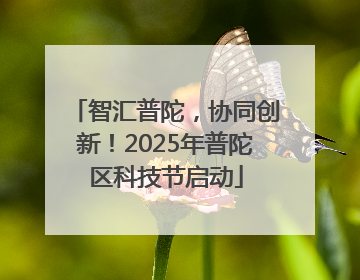智汇普陀，协同创新！2025年普陀区科技节启动