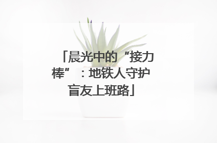 晨光中的“接力棒”：地铁人守护盲友上班路