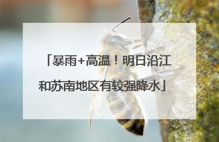 暴雨+高温！明日沿江和苏南地区有较强降水