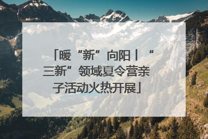暖“新”向阳丨“三新”领域夏令营亲子活动火热开展