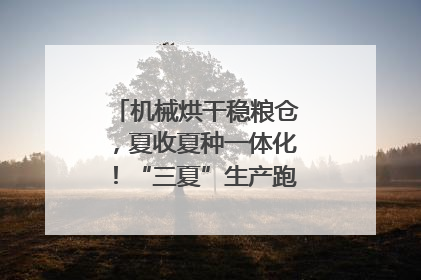机械烘干稳粮仓，夏收夏种一体化！“三夏”生产跑出加速度｜麦报
