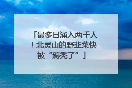 最多日涌入两千人！北灵山的野韭菜快被“薅秃了”
