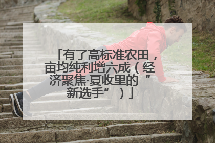 有了高标准农田，亩均纯利增六成（经济聚焦·夏收里的“新选手”）