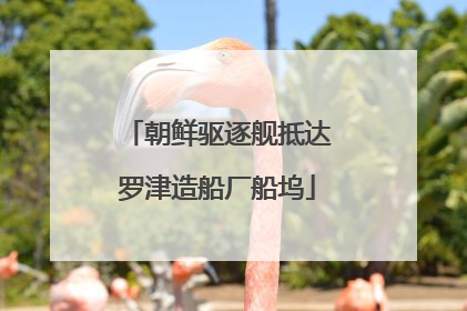 朝鲜驱逐舰抵达罗津造船厂船坞