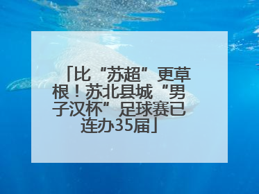 比“苏超”更草根！苏北县城“男子汉杯”足球赛已连办35届