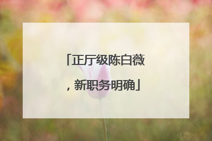 正厅级陈白薇，新职务明确