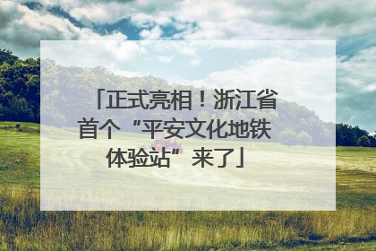 正式亮相！浙江省首个“平安文化地铁体验站”来了