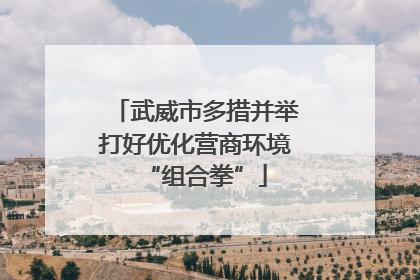 武威市多措并举打好优化营商环境“组合拳”