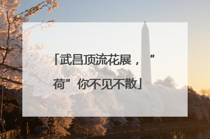 武昌顶流花展，“荷”你不见不散