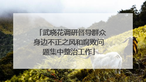 武晓花调研督导群众身边不正之风和腐败问题集中整治工作