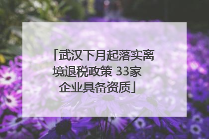 武汉下月起落实离境退税政策 33家企业具备资质