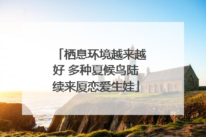 栖息环境越来越好 多种夏候鸟陆续来厦恋爱生娃