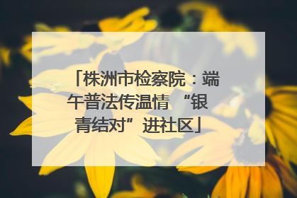 株洲市检察院：端午普法传温情 “银青结对”进社区