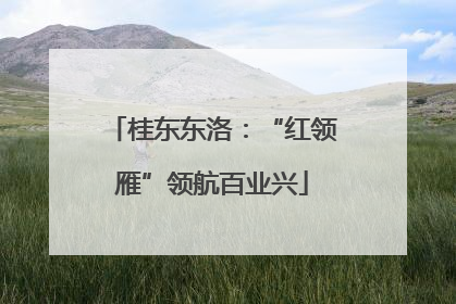 桂东东洛：“红领雁”领航百业兴