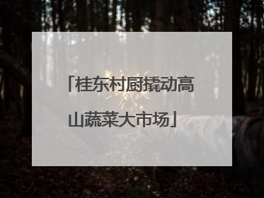 桂东村厨撬动高山蔬菜大市场