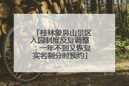 桂林象鼻山景区入园制度反复调整：一年不到又恢复实名制分时预约