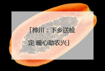 桦川：下乡送检定 暖心助农兴
