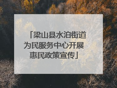 梁山县水泊街道为民服务中心开展惠民政策宣传