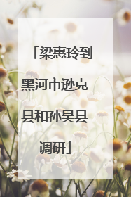 梁惠玲到黑河市逊克县和孙吴县调研