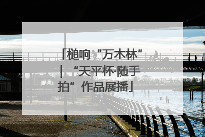 槌响“万木林”｜“天平杯·随手拍”作品展播