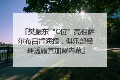 樊振东“C位”亮相萨尔布吕肯海报，俱乐部经理透露其加盟内幕
