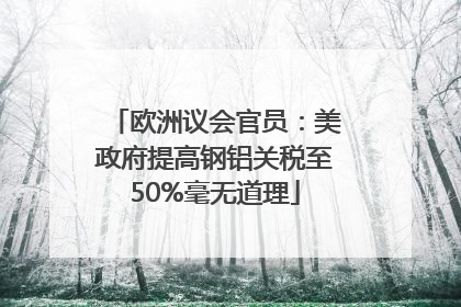 欧洲议会官员：美政府提高钢铝关税至50%毫无道理
