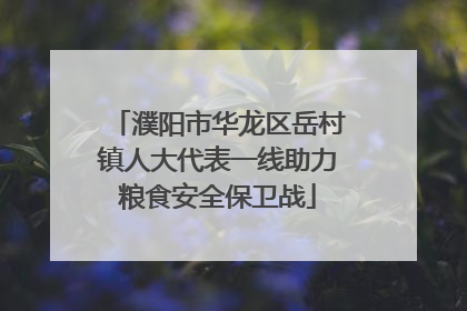 濮阳市华龙区岳村镇人大代表一线助力粮食安全保卫战