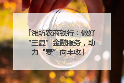潍坊农商银行：做好“三夏”金融服务，助力“麦”向丰收