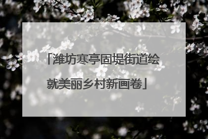 潍坊寒亭固堤街道绘就美丽乡村新画卷