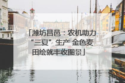 潍坊昌邑：农机助力“三夏”生产 金色麦田绘就丰收图景