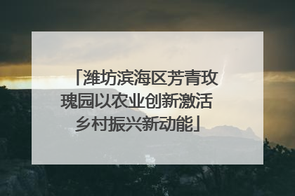 潍坊滨海区芳青玫瑰园以农业创新激活乡村振兴新动能