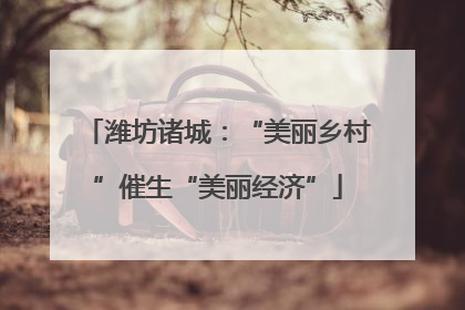 潍坊诸城：“美丽乡村”催生“美丽经济”