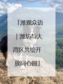 潍观众语｜潍坊与大湾区共绘开放同心圆