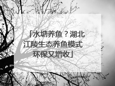 水塘养鱼？湖北江陵生态养鱼模式环保又增收