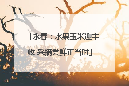 永春：水果玉米迎丰收 采摘尝鲜正当时