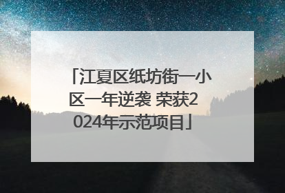江夏区纸坊街一小区一年逆袭 荣获2024年示范项目