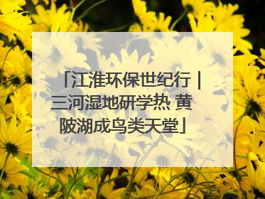 江淮环保世纪行｜三河湿地研学热 黄陂湖成鸟类天堂