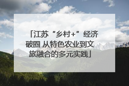 江苏“乡村+”经济破圈 从特色农业到文旅融合的多元实践