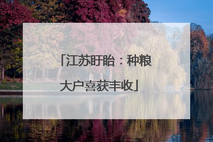 江苏盱眙：种粮大户喜获丰收
