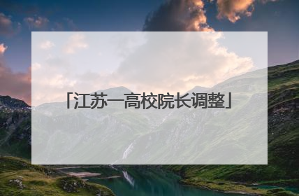 江苏一高校院长调整