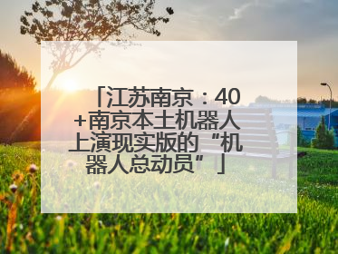 江苏南京：40+南京本土机器人上演现实版的“机器人总动员”